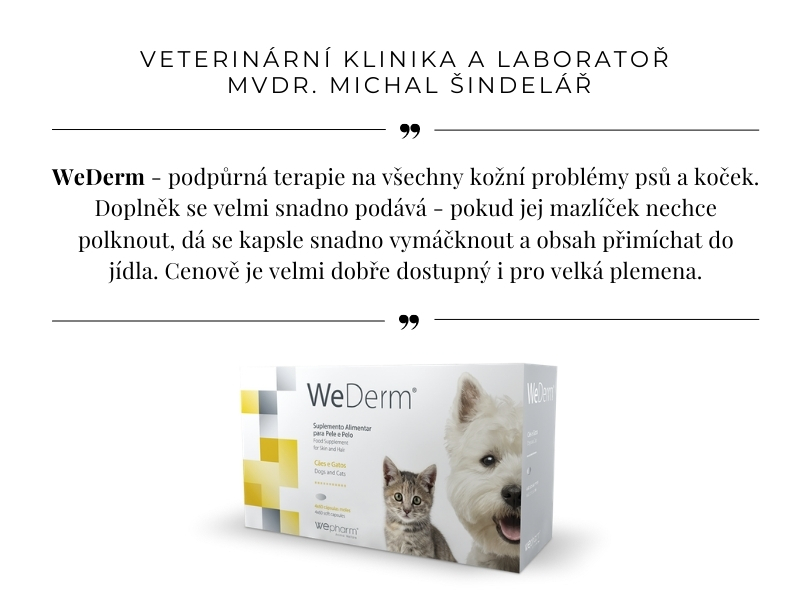 VETERINÁRNÍ KLINIKA A LABORATOŘ -   MVDR. MICHAL ŠINDELÁŘ