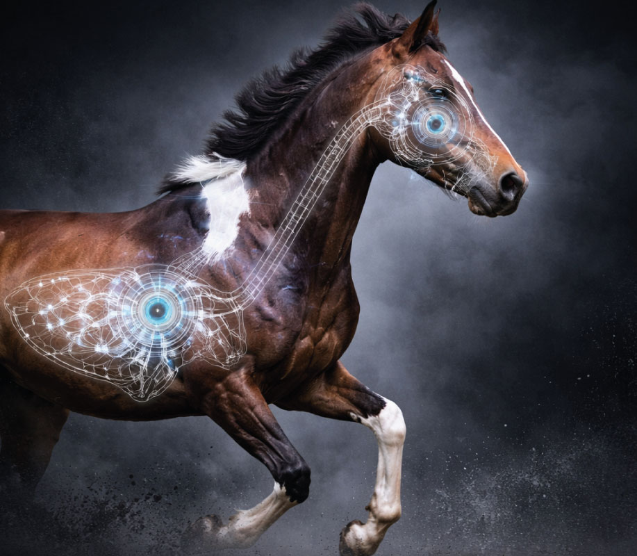 Respirační komfort koně po celý rok