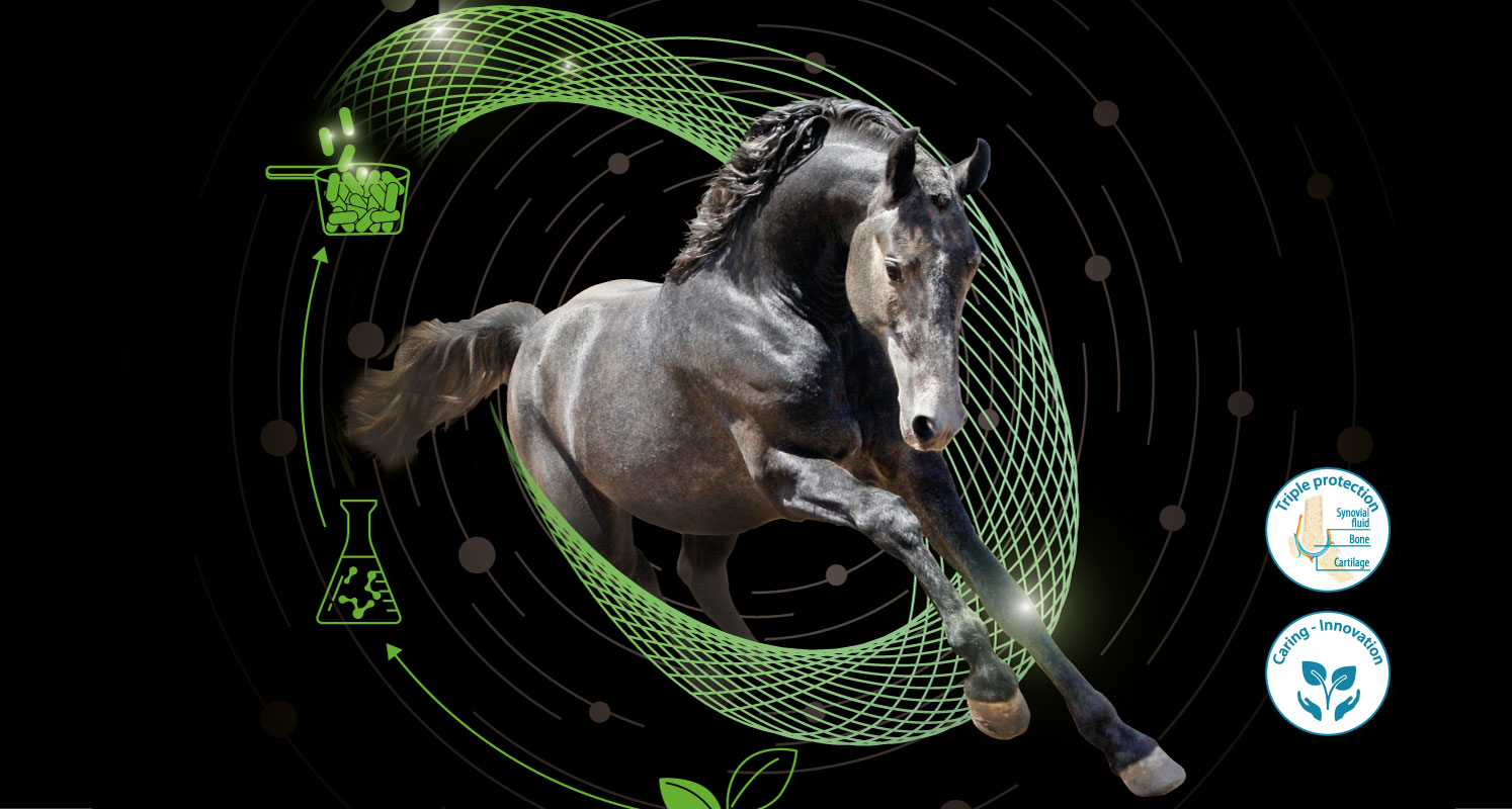 Nová úroveň kloubní výživy