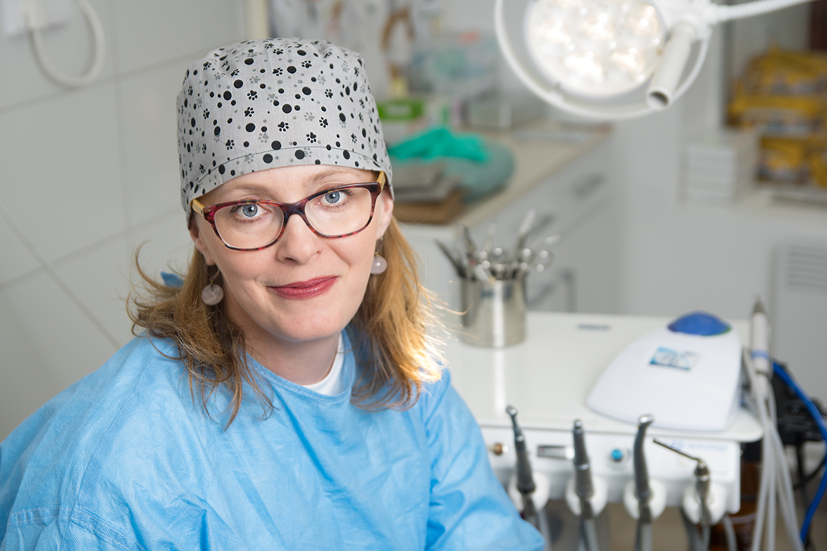 Zuby psů a koček jsou zrcadlem jejich zdraví.