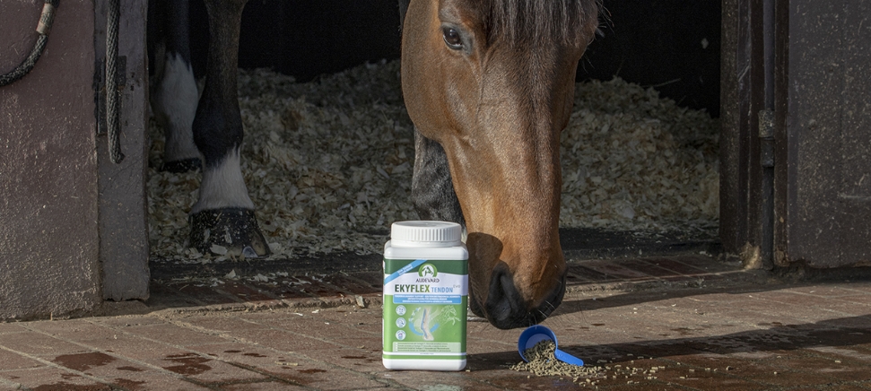 Ekyflex Tendon