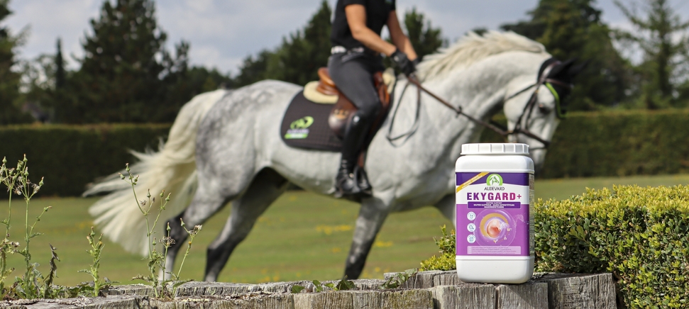Ekygard Plus