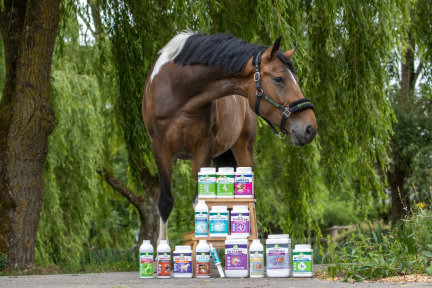 Akční balíčky pro Vás