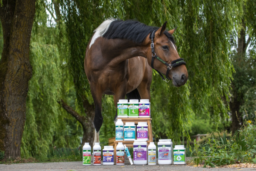 Akční balíčky pro Vás