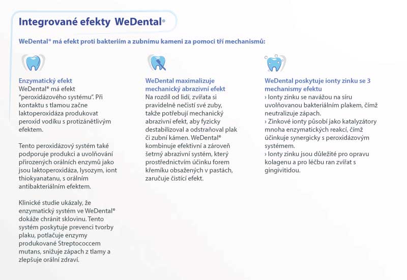 WeDental5