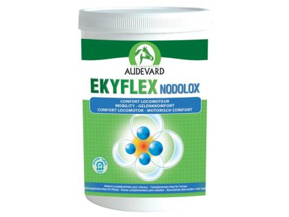 K640 Ekyflex Nodolox 600g