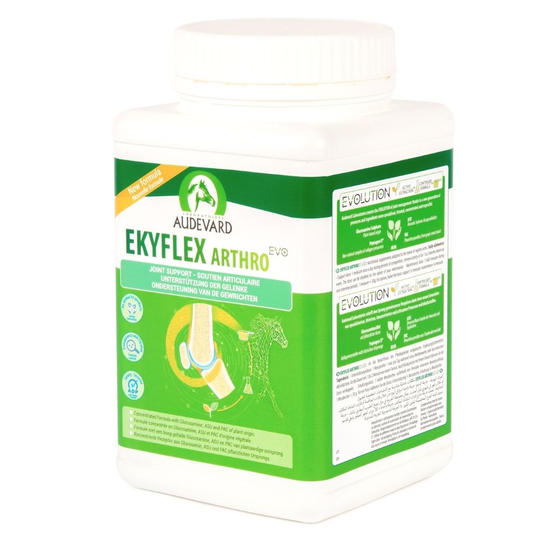 AUDEVARD EKYFLEX NODOLOX Flash 60ML (NDR