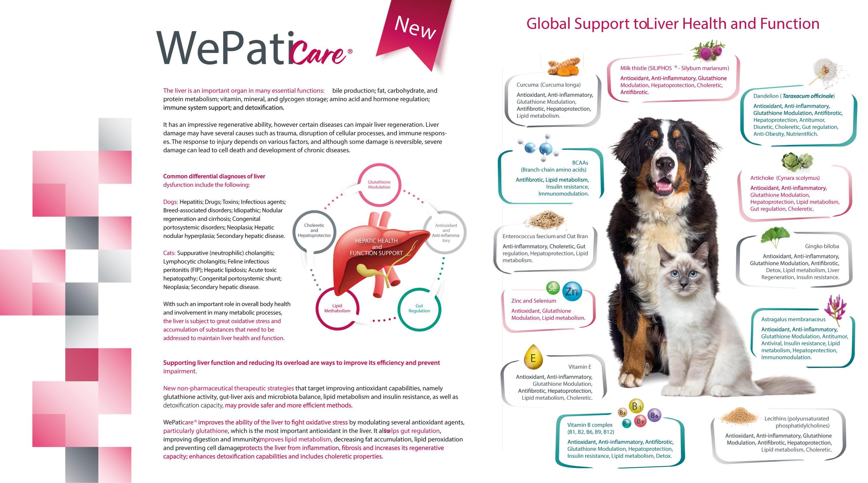 glutathione dog Earth Buddy debuts liposomal glutathione supplement for dogs main image 1