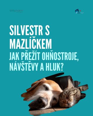 🎆 Pro nás je Silvestr zábava, ale pro mazlíčky často stres. Hluk, návštěvy a změny v domácnosti mohou být pro psy i kočky...