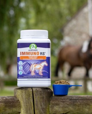 Zima je pro koně náročné období ❄️ Chlad, změny režimu, méně pohybu nebo stres ze stájového ustájení mohou imunitní systém...