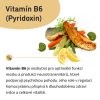 Vitamín B6(Pyridoxin)
