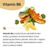 Vitamín B6