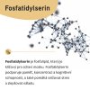 Fosfatidylserin