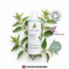 Odylique Jemný bylinný šampón Gentle Herb Shampoo 200 ml 500 ml 1c