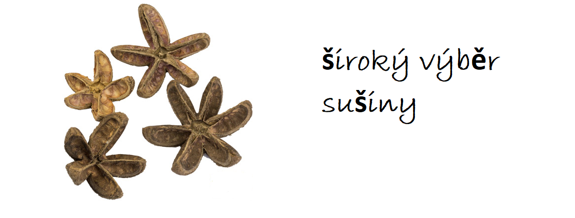 sušina