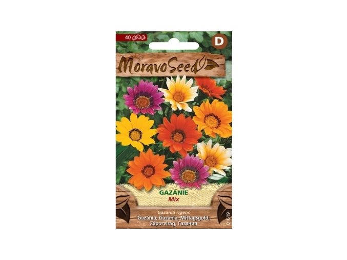 43763 gazanie mix moravoseed