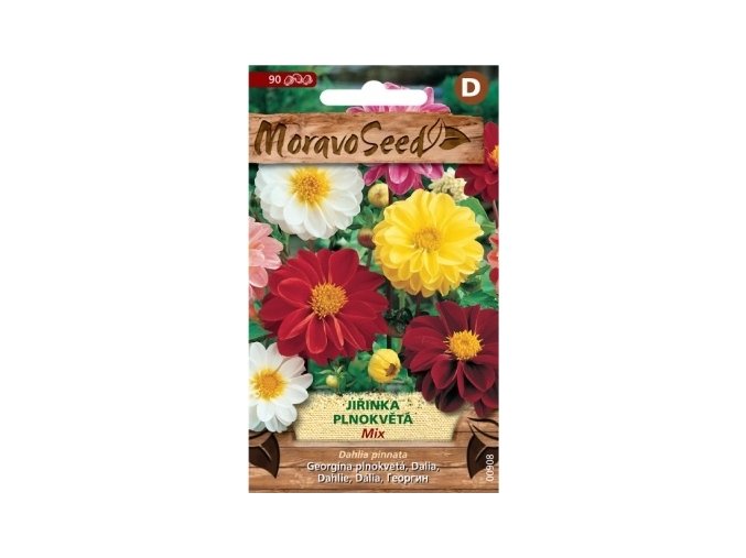 45065 jirinka plnokveta mix moravoseed