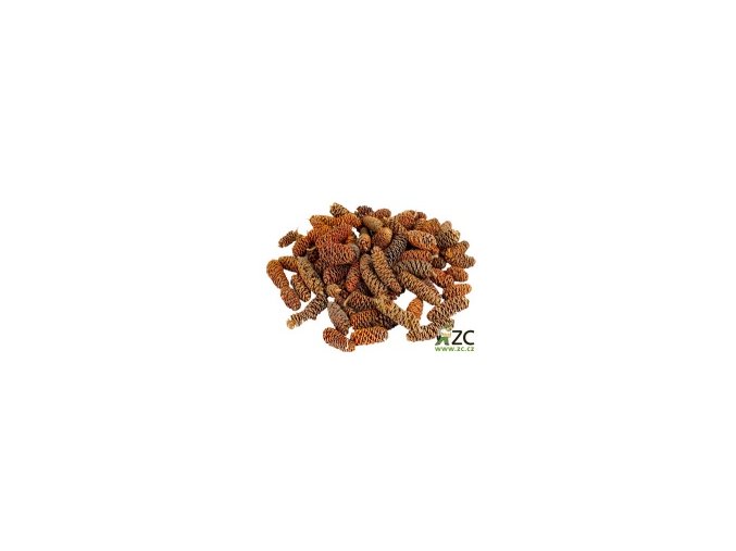 Dekorace - Birch Pine 30g