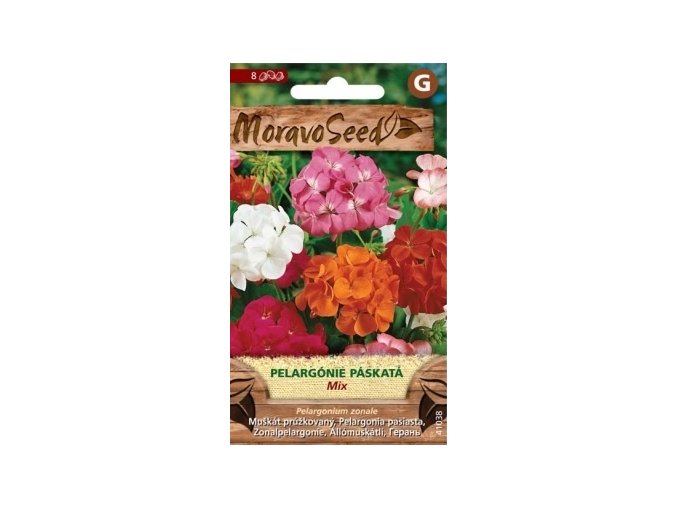 52322 pelargonie paskata mix moravoseed