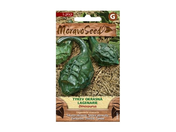 58997 tykev okrasna dinosaurus moravoseed