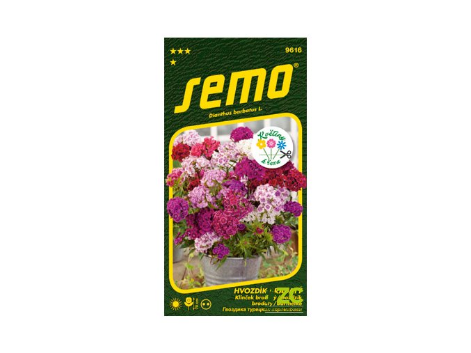62309 1 hvozdik bradaty fragrance mix 0 5g serie kolekce kvetiny k rezu
