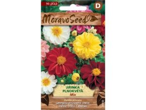 45065 jirinka plnokveta mix moravoseed