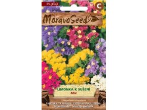 47963 limonka statice mix moravoseed