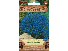 48023 lobelka nizka modra moravoseed