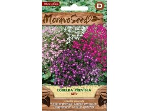 48029 lobelka previsla mix moravoseed