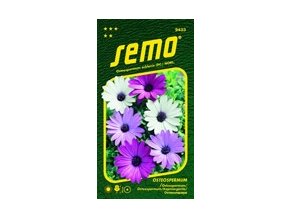 51491 osteospermum smes balade 0 3g