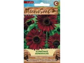 55064 slunecnice rocni cervena moravoseed