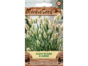 59822 zajeci ocasek moravoseed