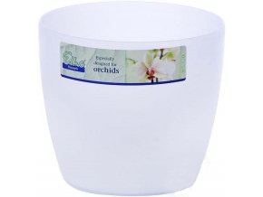 50372 obal brussels orchid 16cm