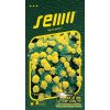 40466 1 aksamitnik rozkladity lemon drop 1g