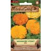 40496 aksamitnik vysoky mix moravoseed