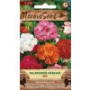 52322 pelargonie paskata mix moravoseed