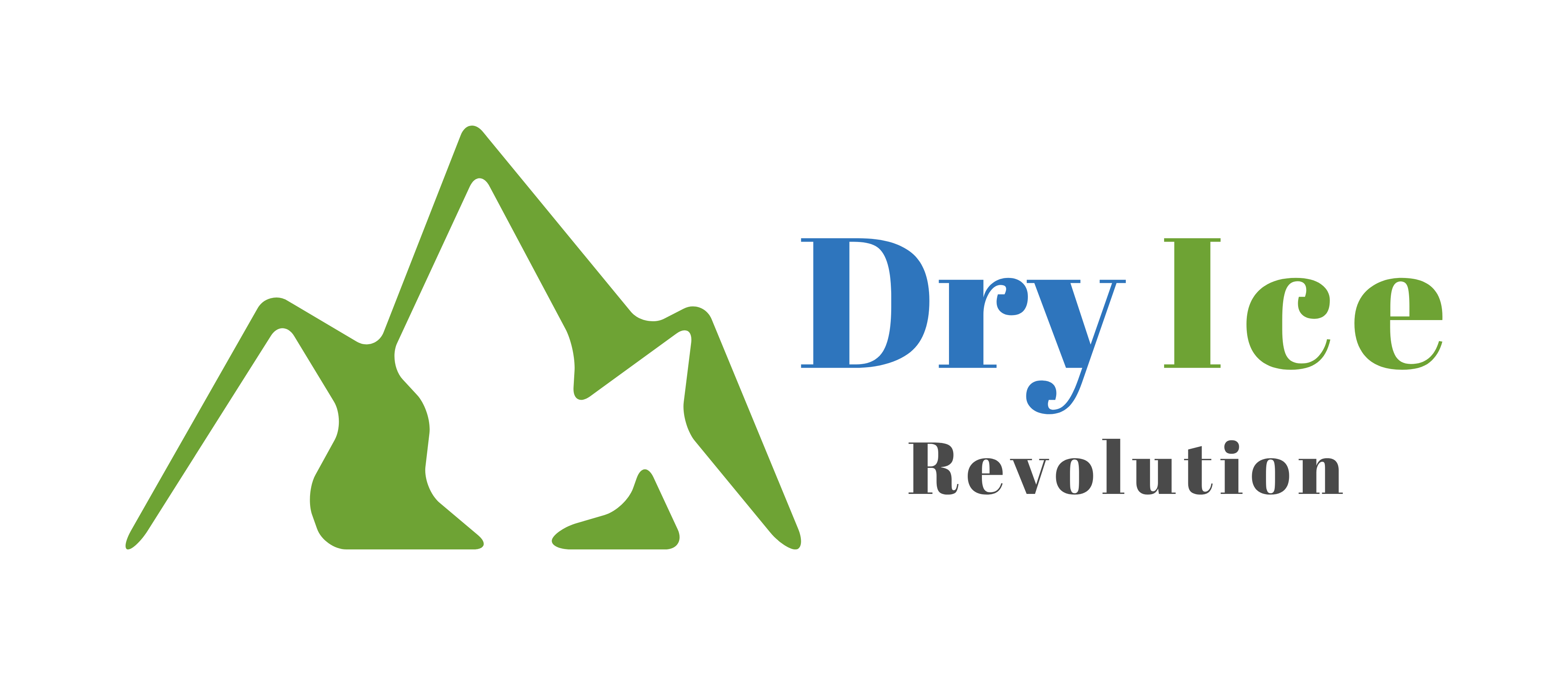 www.dryice.sk
