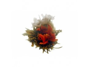 He Jia Huan Le "Rodinné štěstí", bílý kvetoucí čaj, 10 g
