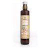 BIO sirup Zázvor citron (500 ml)