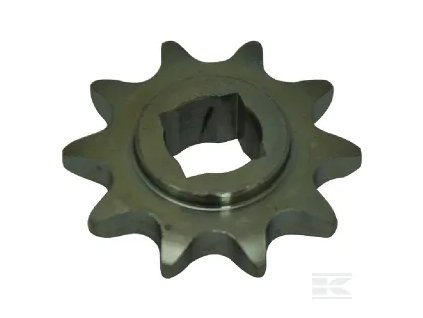 G22220113R