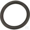 O-kroužek pro 6" samice 170 x 19 mm Kramp