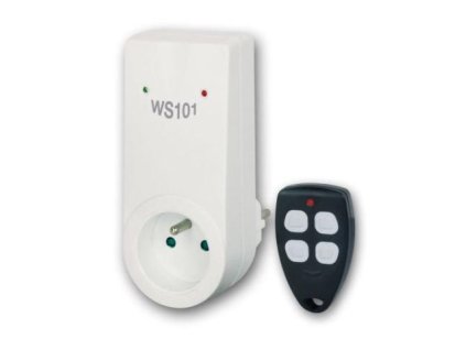 WS 101