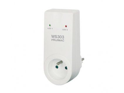 WS 303