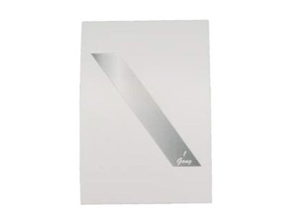 ZV 2 1 Gong