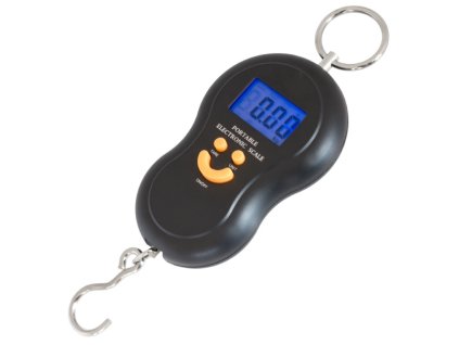 Závěsná váha DIG AG199