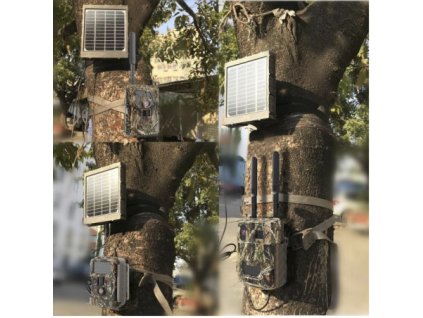 akumulator long 6v 12 ah (1)