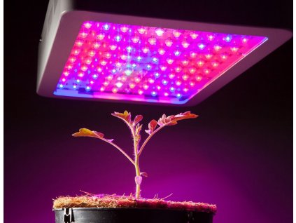 LED GROW LIGHT SJZX 40W a rostlinka www