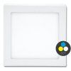 LED RF57 P 25W CCT