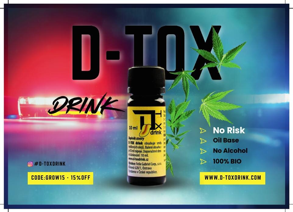 Grow City katalog 2025 — DTOX