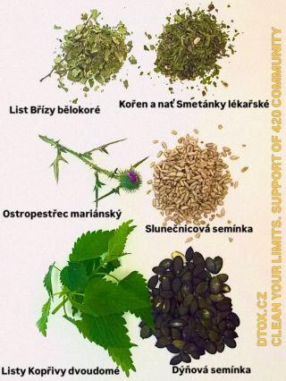 Takhle vypadá začátek. Semínka, ze kterých jsou oleje. Bylinná část macerátu. Nic z toho není náhodou a nic z toho není...